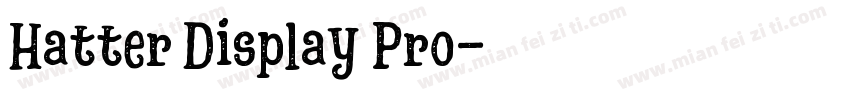 Hatter Display Pro字体转换